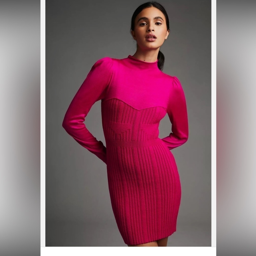 Anthropologie Turtleneck Sweater Dress Size SP NWT